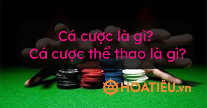 Cập nhật kết quả euro đêm qua và rạng sáng nay nhanh nhất hôm nay