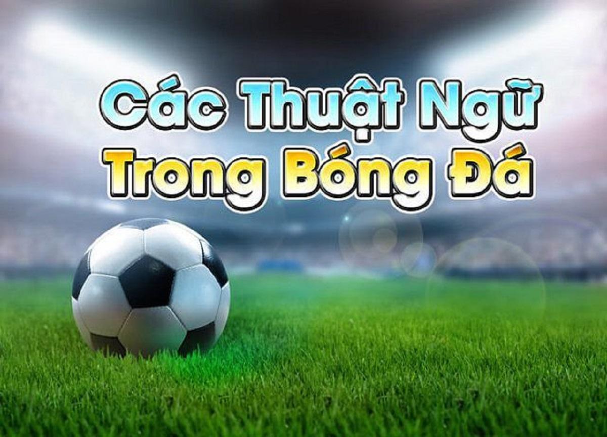 Khám phá các xu hướng mới trong lĩnh vực trường giáo dục tại Việt Nam